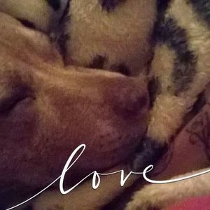 Meet your Posher, Kae